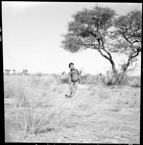 Boy pushing a toy car made from veldkos through the grass