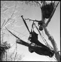 Hunting bag, knife, and other possessions hung in a tree