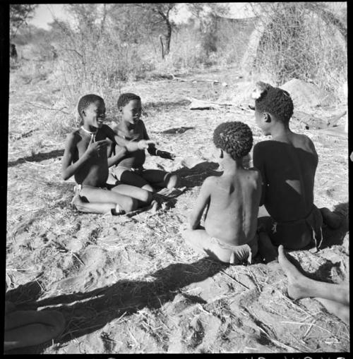 Boys playing !ó'm!hú / !’Om g!xuni / ’Ai kota !U!u g!xuni / N!aih //’an (the porcupine game, also known as the axe game, assegai game or war game), including Gao (son of ≠Gao and Khwo//o-/Gasa of Band 4) and /Gishay (son of "Old Gau," Band 1)