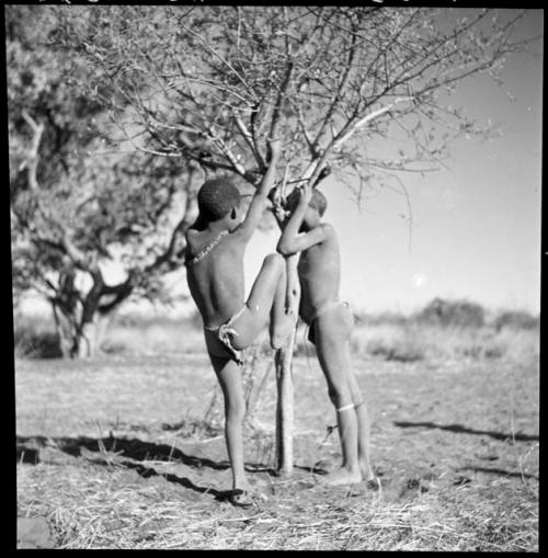 Two boys leaning on a tree