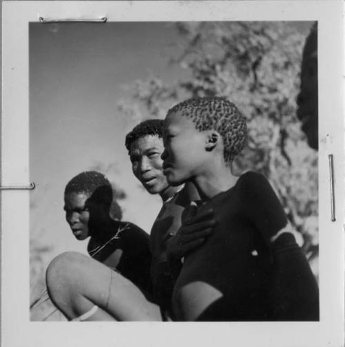 Three young men playing !ó'm!hú /!’Om g!xuni / ’Ai kota !U!u g!xuni / N!aih //’an (the porcupine game, also known as the axe game, assegai game or war game)