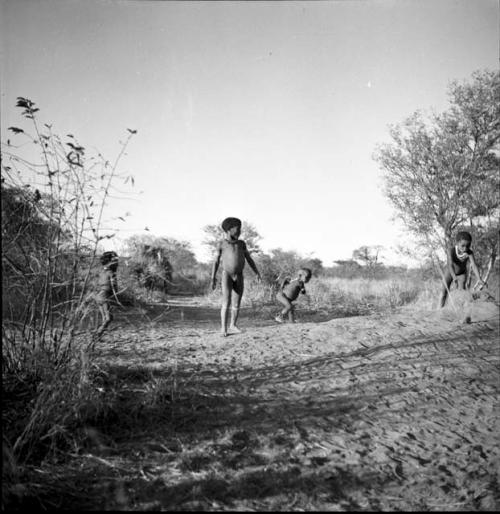 Boys playing a stick-throwing game