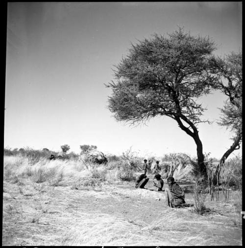 Children playing, with skerms in background