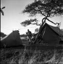 Laurence Marshall standing in the expedition camp between the sleeping tent and the office tent