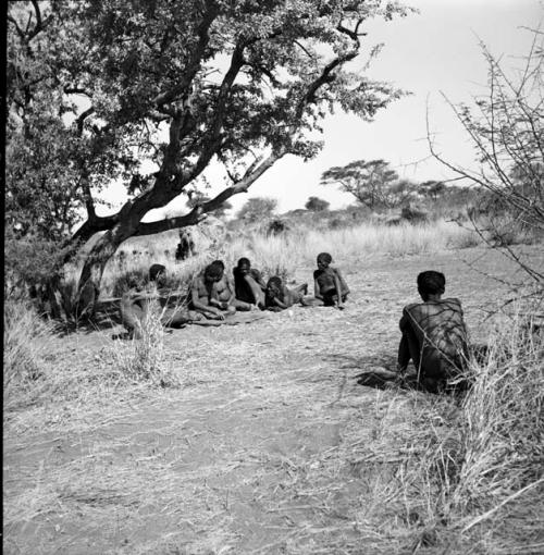 Group of men sitting under a tree, throwing and reading oracle disks, from a distance