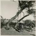 Children from "Gao Helmet's" group standing beside a net and rattles hanging from a tree