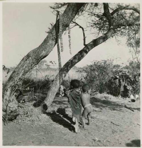 Children from "Gao Helmet's" group standing beside a net and rattles hanging from a tree