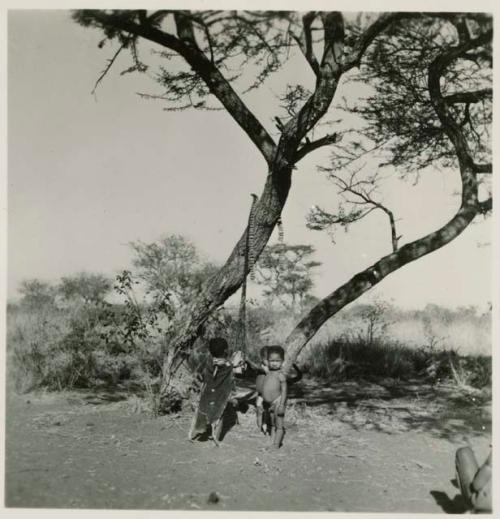 Children from "Gao Helmet's" group standing beside a net and rattles hanging from a tree