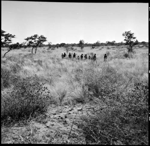 Group of people gathering, walking through the grass, distant view