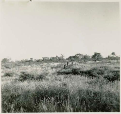 Small group of women walking in the veld, distant view (print is a cropped image)