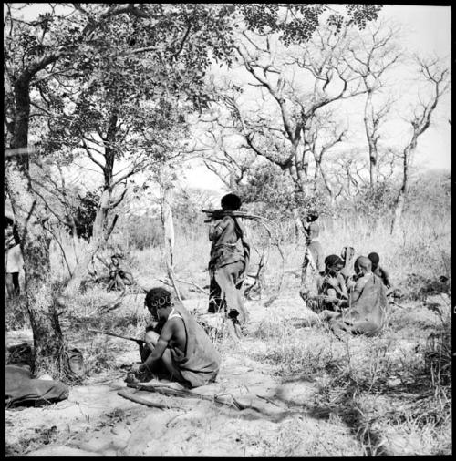 Women gathering the long orange roots from which they make fiber cord