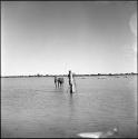 Girls playing in the water of Gautscha Pan, with John Marshall filming them, distant view