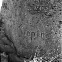 Name "Kipping" carved into the trunk of a baobab tree, close-up