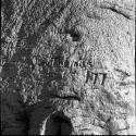 Name "L. Thomas" and "177" carved into the trunk of a baobab tree, close-up