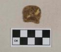 Tortoiseshell fragment, heavily degraded