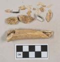 Mammal bone fragments, 2 calcined