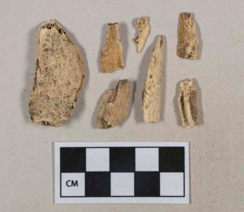 Unidentified bone fragments, likely mammal