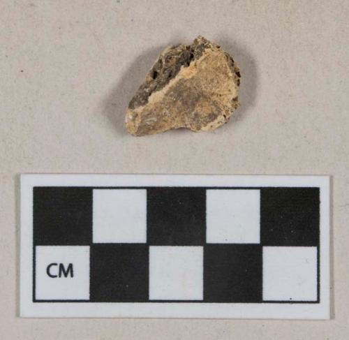 Unidentified bone fragment, likely mammal