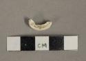 White undecorated kaolin pipe bowl fragment