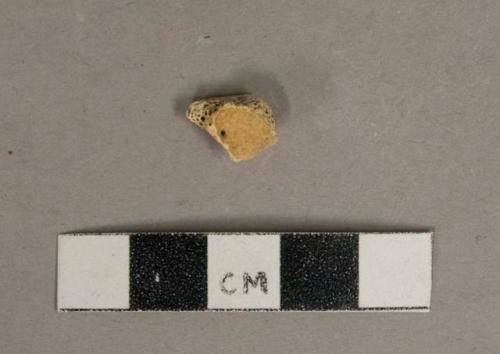 Unidentified bone fragment, likely mammal