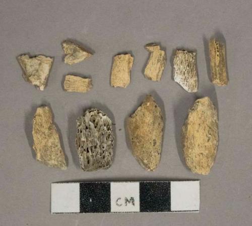 Unidentified bone fragments, 3 bird, 9 likely mammal