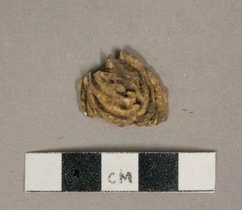 Peach or apricot pit fragment