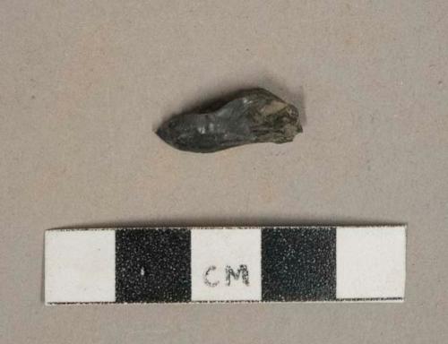 Unburned coal fragment