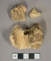 Unidentified mammal bone fragments, heavily degraded