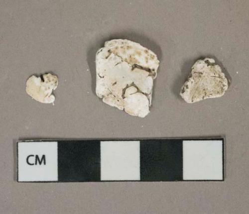 White shell fragment, possibly oyster