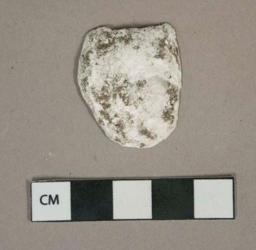 White shell fragments, possibly oyster, heavily corroded