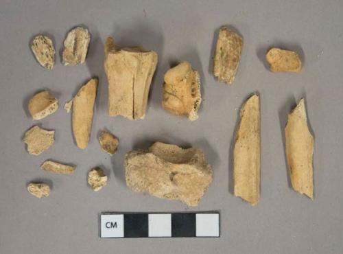 Unidentified mammal bone fragments
