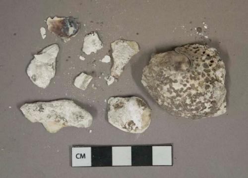 Unidentified shell fragments, heavily degraded