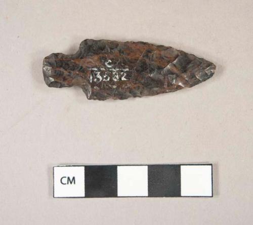 Obsidian arrow point