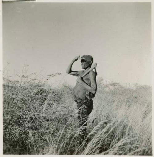 "Old Demi" standing in the grass, profile