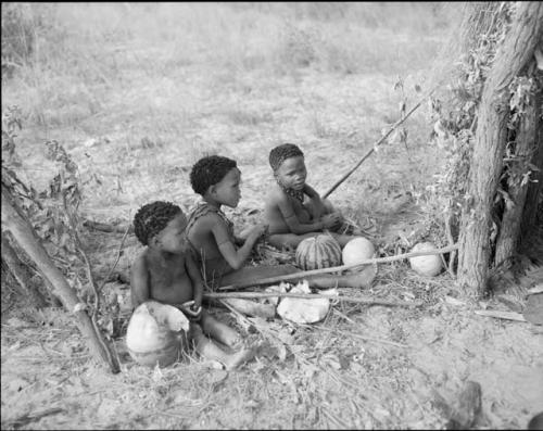 Three children sitting, eating mealies