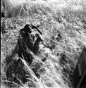 Person sitting on the ground, view from behind