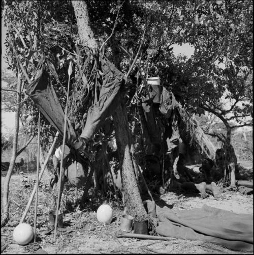 Group of people near and inside a skerm in the background, with possessions hanging on a tree in the foreground, including quiver sacks with bows, assegais, tin cans, cups and buckets; ostrich egg shells and a blanket on the ground next to the tree