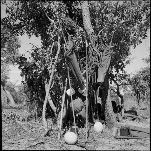 Group of people lying in the shade behind a tree with possessions hanging on it, including quiver sacks with bows, assegais, tin cans, cups and buckets; ostrich egg shells and a blanket on the ground next to the tree