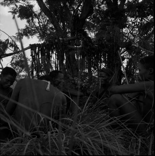 Five men on a hunting trip, sitting, talking, with strips of meat hanging on branches to dry in the background