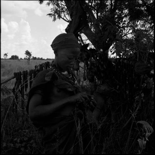 Woman standing in front of a tree, looking at something in her hands, with strips of meat hanging on a stick behind her