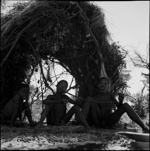 Boy playing a musical bow, sitting with two other boys in front of a skerm constructed for hot weather