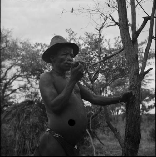 ≠Toma wearing a hat, standing next to a tree, smoking a pipe