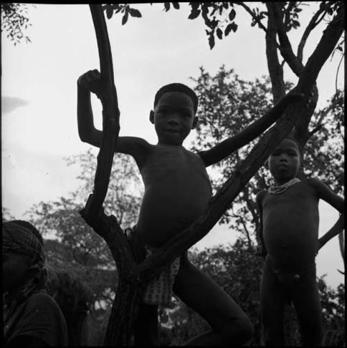 Two boys standing next to a tree