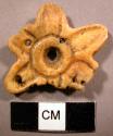Fragments of six pointed stars, carved from shell, decorated
