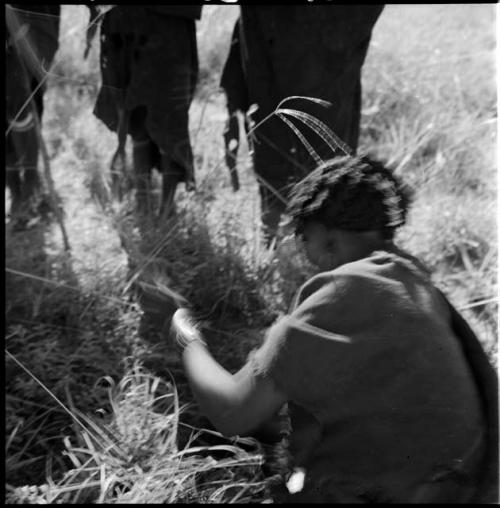 Woman digging with her digging stick (out of focus)