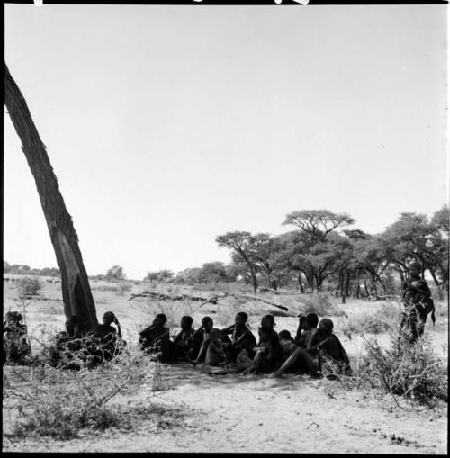 Group of people sitting in a line next to a tree, with one person standing next to them