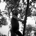 Boy standing, holding on to a small tree