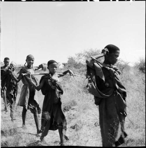 Five women walking in a line, carrying digging sticks on their shoulders