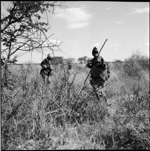 Two women standing, holding digging sticks, looking at the ground