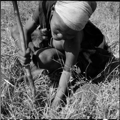 /Naoka digging for a root in the grass with her digging stick